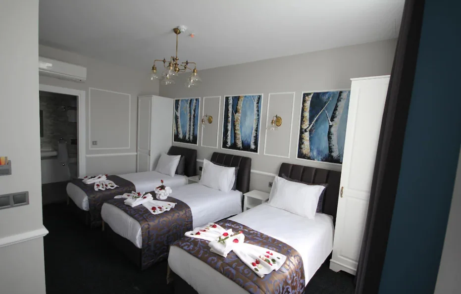 Naumpasa Konagi Hotel Istanbul