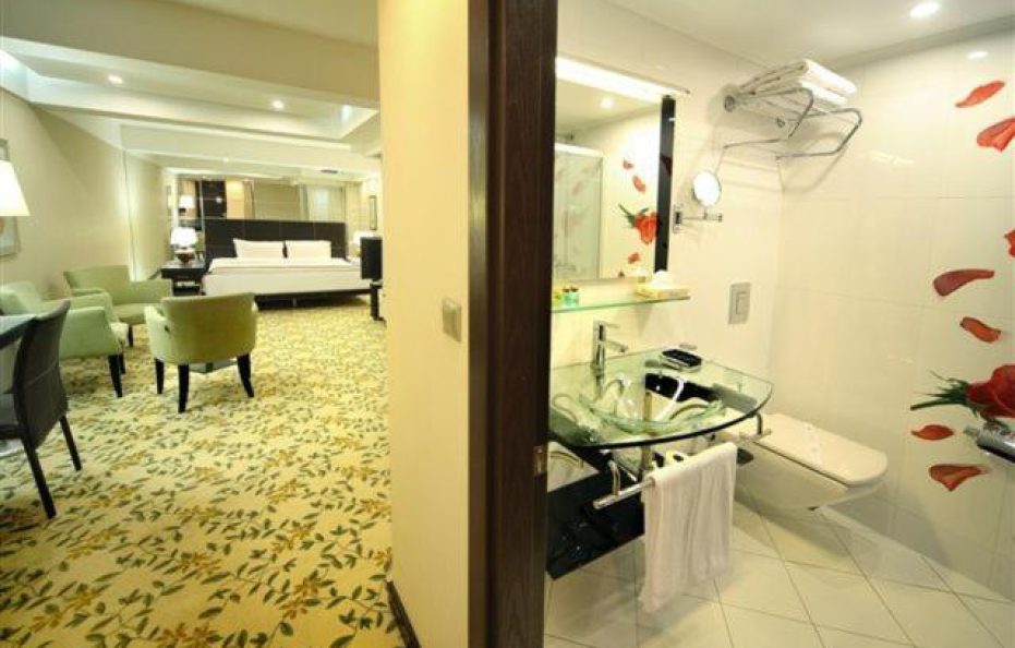 Cartoon Hotel Istanbul